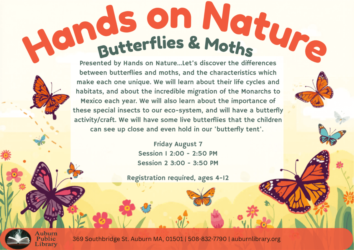 Hands on Nature. Butterflies and Moths. Presented by Hands on Nature...Let’s discover the differences between butterflies and moths, and the characteristics which make each one unique. We will learn about their life cycles and habitats, and about the incredible migration of the Monarchs to Mexico each year. We will also learn about the importance of these special insects to our eco-system, and will have a butterfly activity/craft. We will have some live butterflies that the children can see up close and even hold in our 'butterfly tent'. 
Friday August seventh. Session one: 2:00 to 2:50 PM. Session 2: 3:00 - 3:50 PM. Registration required. Ages four to twelve. 
Auburn Public Library. 369 Southbridge St. Auburn MA, 01501. 508-832-7790. auburnlibrary.org.