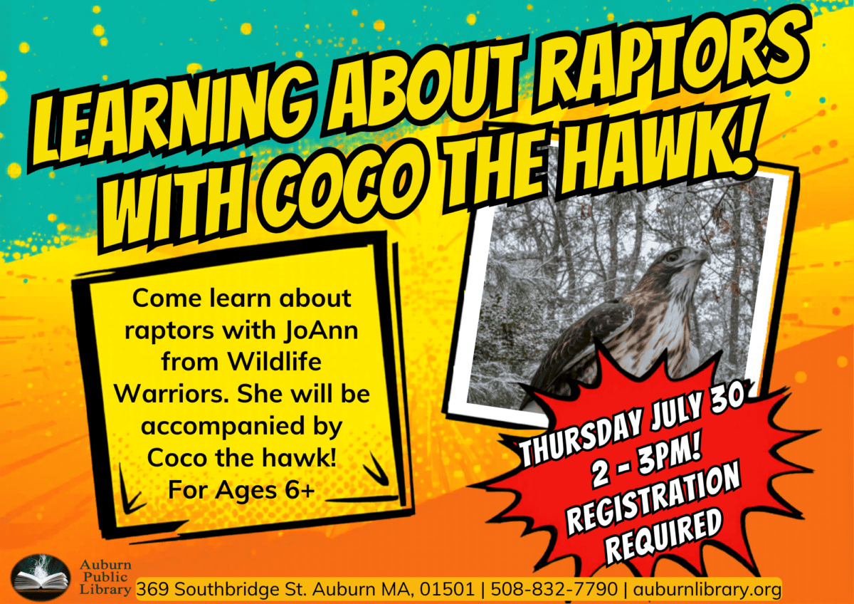 Learning about raptors with Coco the Hawk! 
Come learn about raptors with JoAnn from Wildlife Warriors. She will be accompanied by Coco the Hawk! For ages six plus. 
Thursday July thirtieth. 2:00 to 3:00 pm! Registration required.
Auburn Public Library. 369 Southbridge St. Auburn MA, 01501. 508-832-7790. auburnlibrary.org.