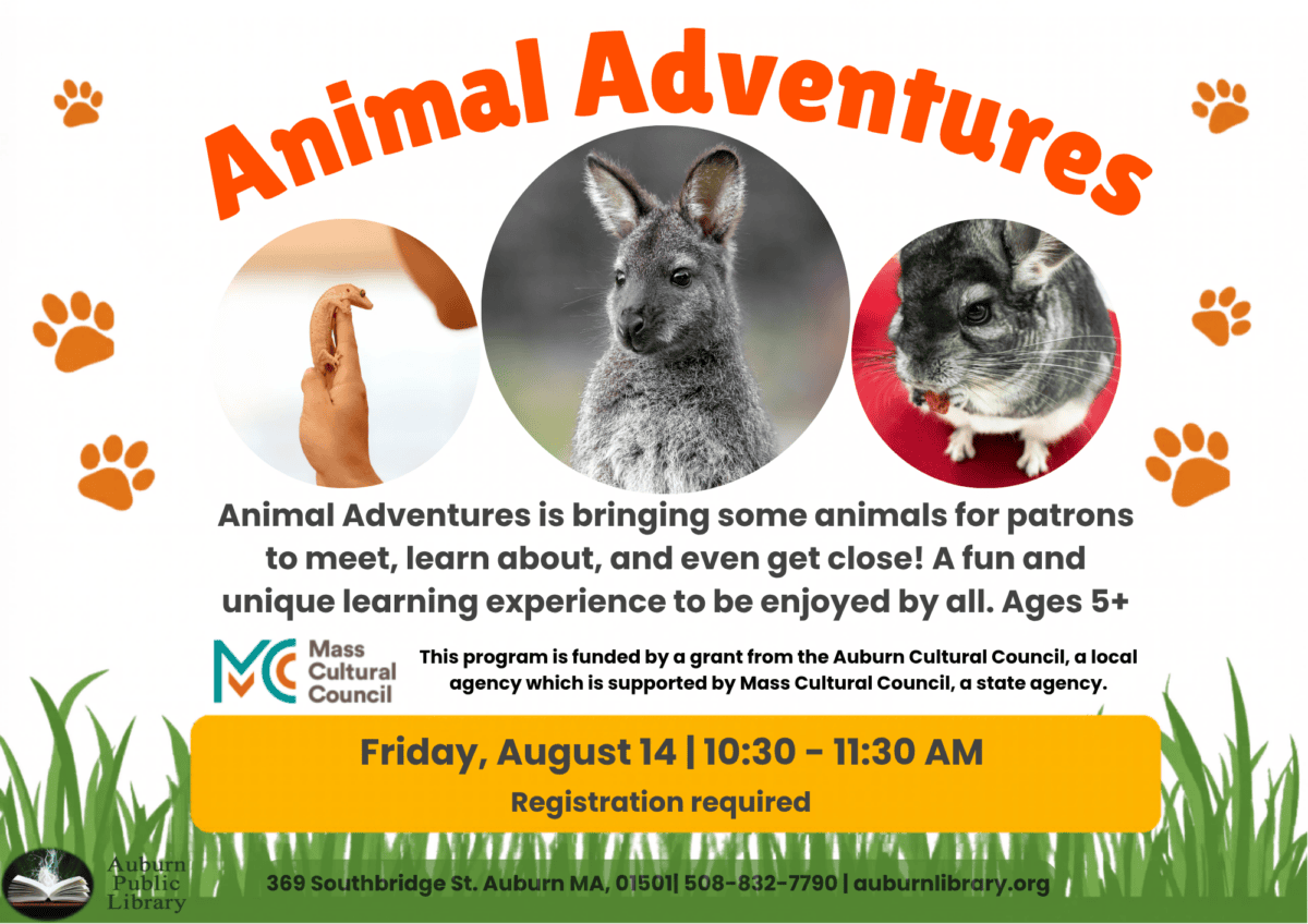 Animal Adventures.
Animal Adventures is bringing some animals for patrons to meet, learn about, and even get close! A fun and unique learning experience to be enjoyed by all. Ages 5+.
Mass Cultural Council Logo. This program is funded by a grant from the Auburn Cultural Council, a local agency which is supported by Mass Cultural Council, a state agency.
Friday August 14. 10:30 to 11:30 AM. Registration Required. 
Auburn Public Library. 369 Southbridge St. Auburn MA, 01501. 508-832-7790. auburnlibrary.org.
