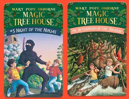 magic tree house yotos set 3