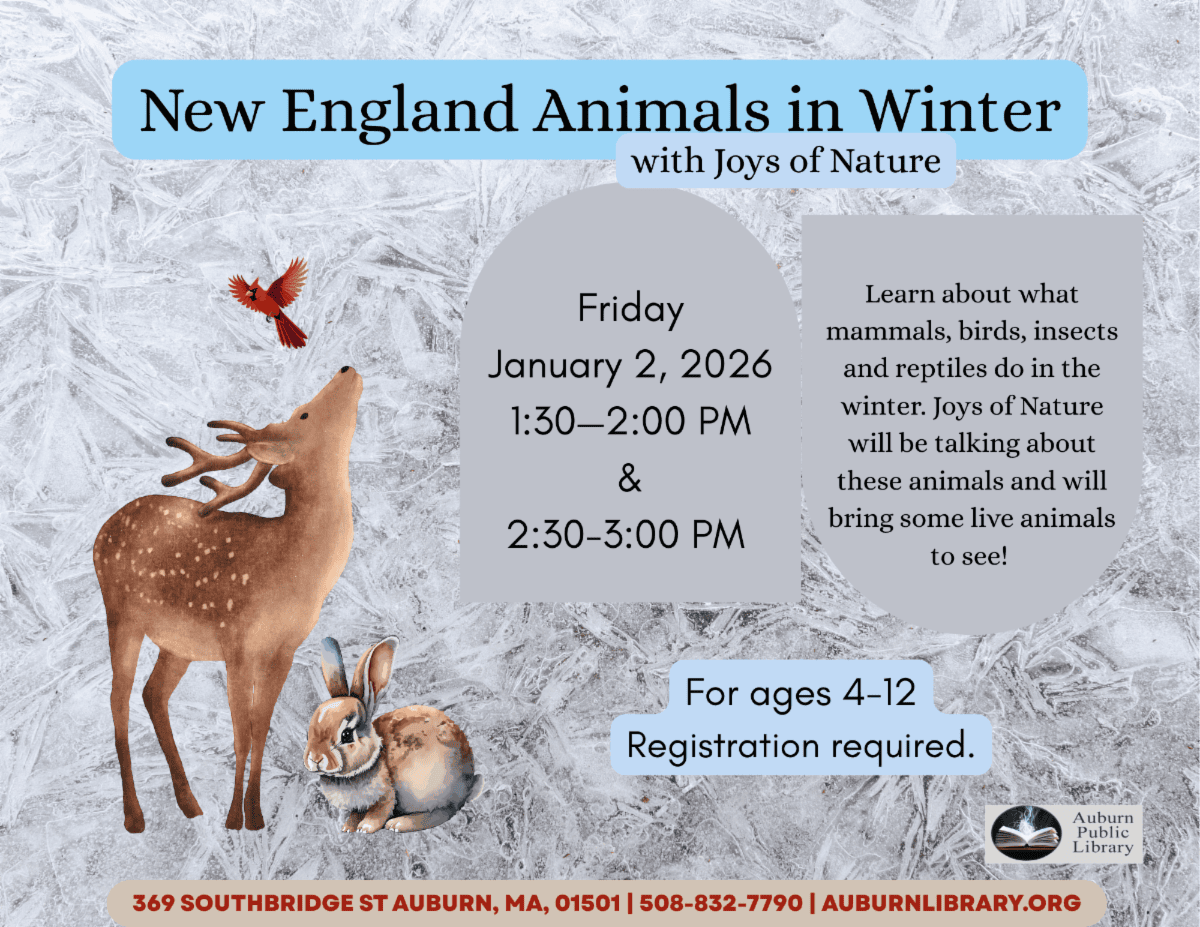 new england animals in winter with joys of nature. Friday January second 2026 1:30 pm to 2:00 pm and 2:30 pm to 3:00 pm. Learn about what mammals, birds, insects, and reptiles do in the winter. Joys of nature will be talking about these animals and will bring some live animals to see! For ages four to twelve. Registration required. 369 Southbridge street, Auburn MA, 01501. 508-832-7790. auburnlibrary.org