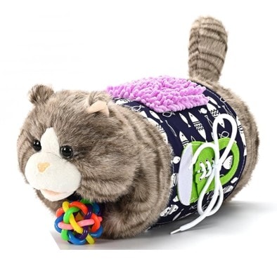 sensory cat