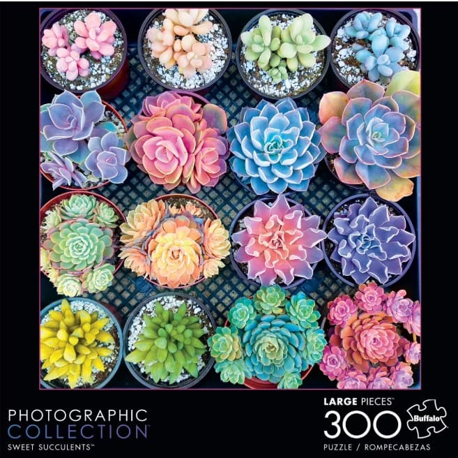 sweet succulents puzzle